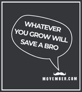 The background is black. A white boz border is close the four sides. at the bottom right is the Movember logo in white. From this a speach bubble extends, reading 'Whatever you grow will save a bro'.